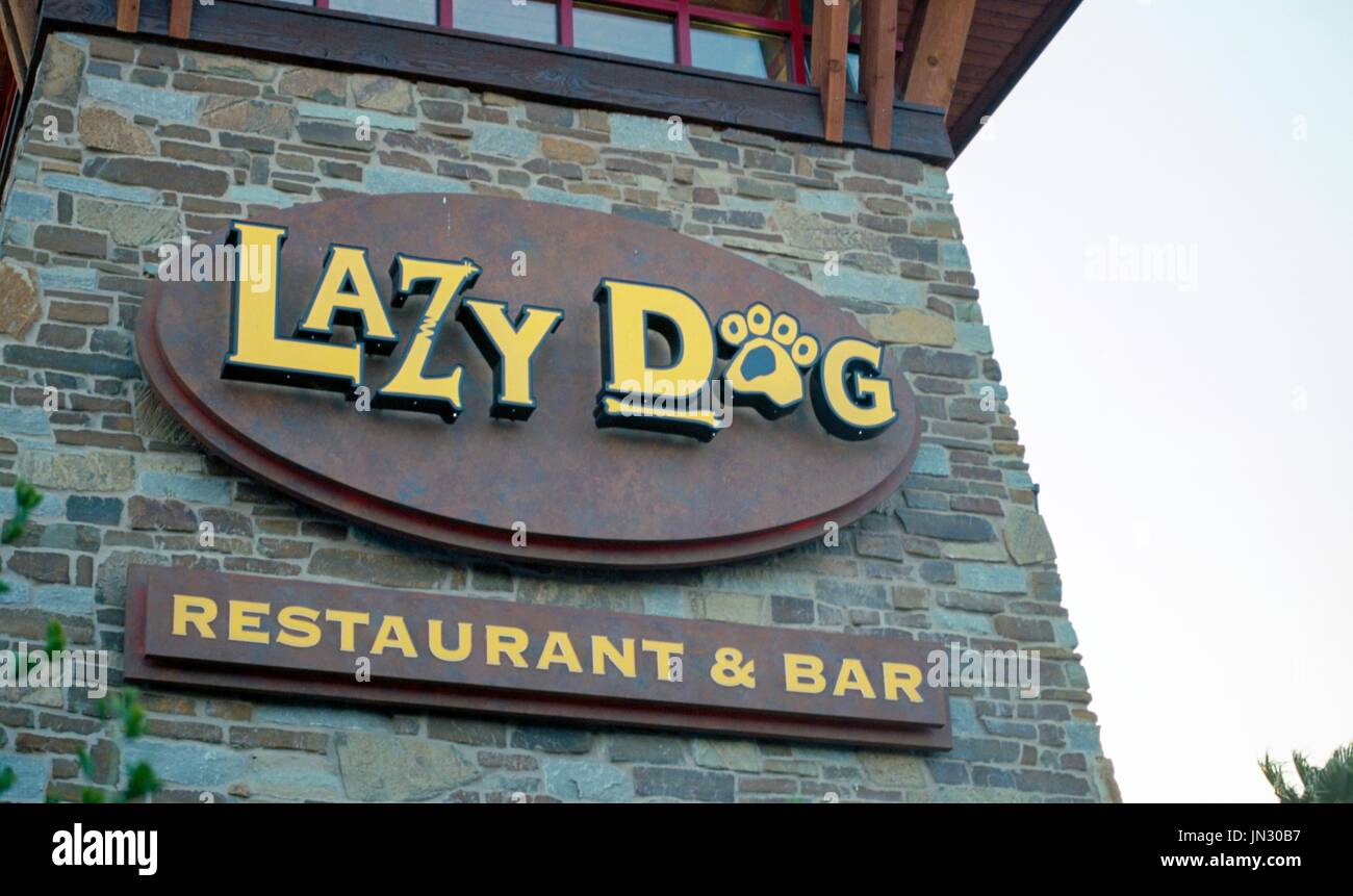 Signage for Lazy Dog Restaurant and Bar, a popular local chain restaurant in the San Francisco Bay Area town of Dublin, California, June 6, 2017. According to 2014 data, Dublin is among the top three fastest growing cities in the state of California. Stock Photo