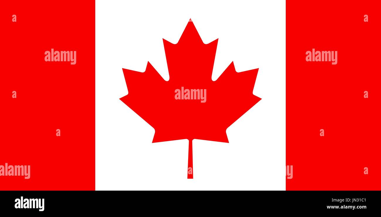 Flag design. Canadian flag on the white background, isolated flat ...