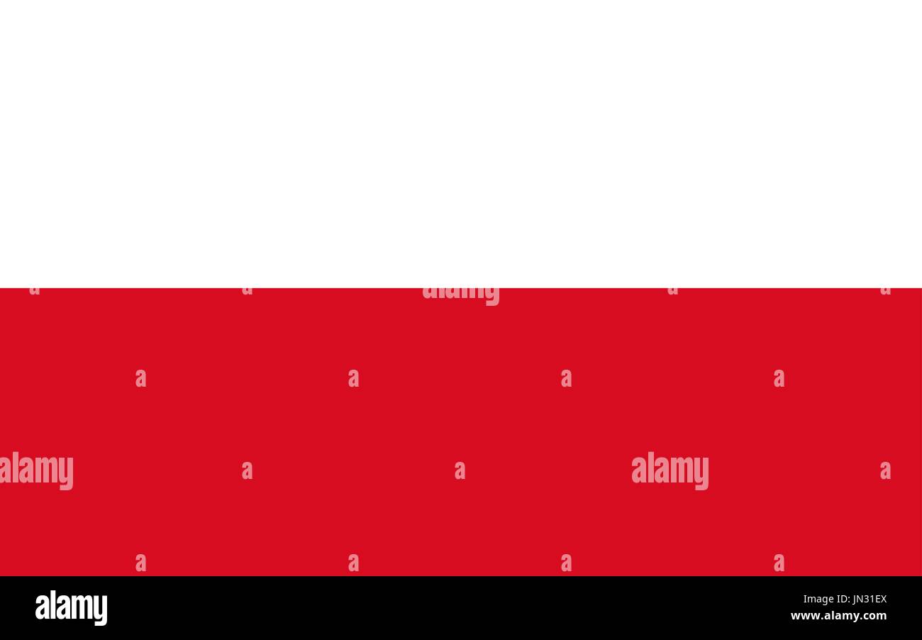 Flag design. Polish flag on the white background, isolated flat layout for your designs. Vector illustration. Stock Vector