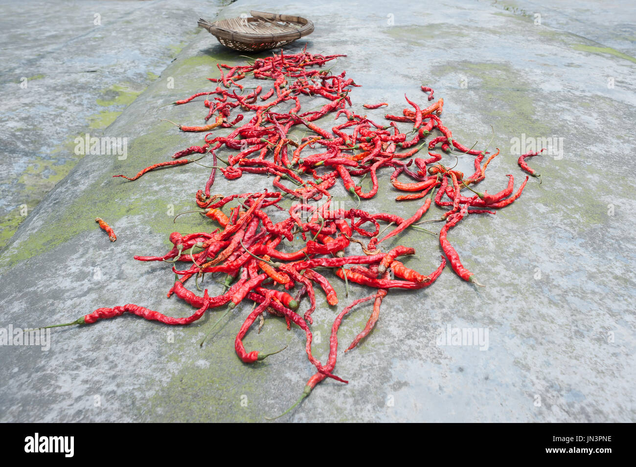 Red chili pepper drying on the ground with a basket in the background Stock Photo