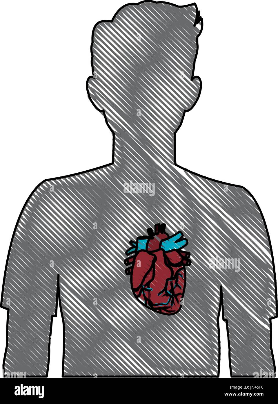 heart on the silhouette of a man anatomy Stock Vector Image & Art - Alamy