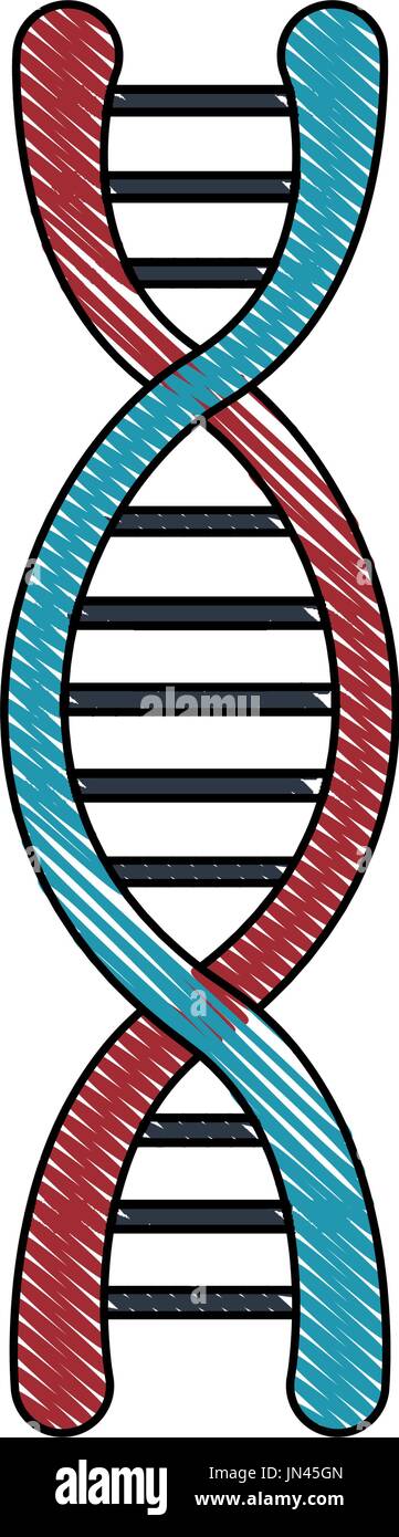 dna molecule structure science genetic structure Stock Vector Image ...