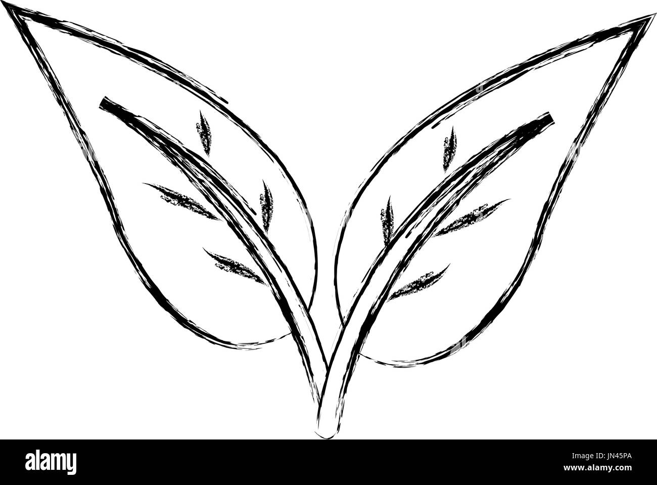organic leave natural plant botanical Stock Vector Image & Art - Alamy