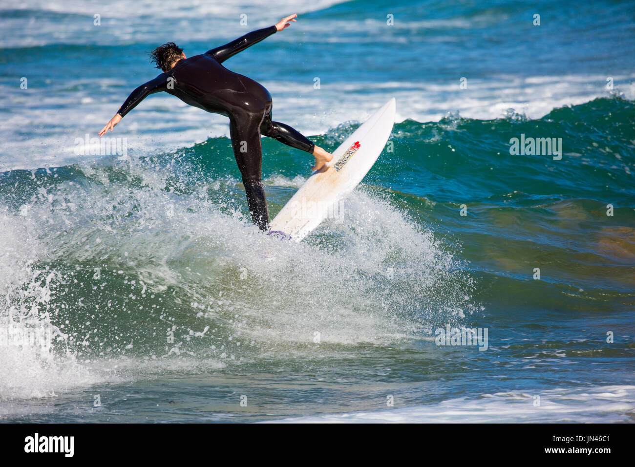 Australian surfer man in a wetsuit enjoying surfing on a Sydney beach in Australia Stock Photo