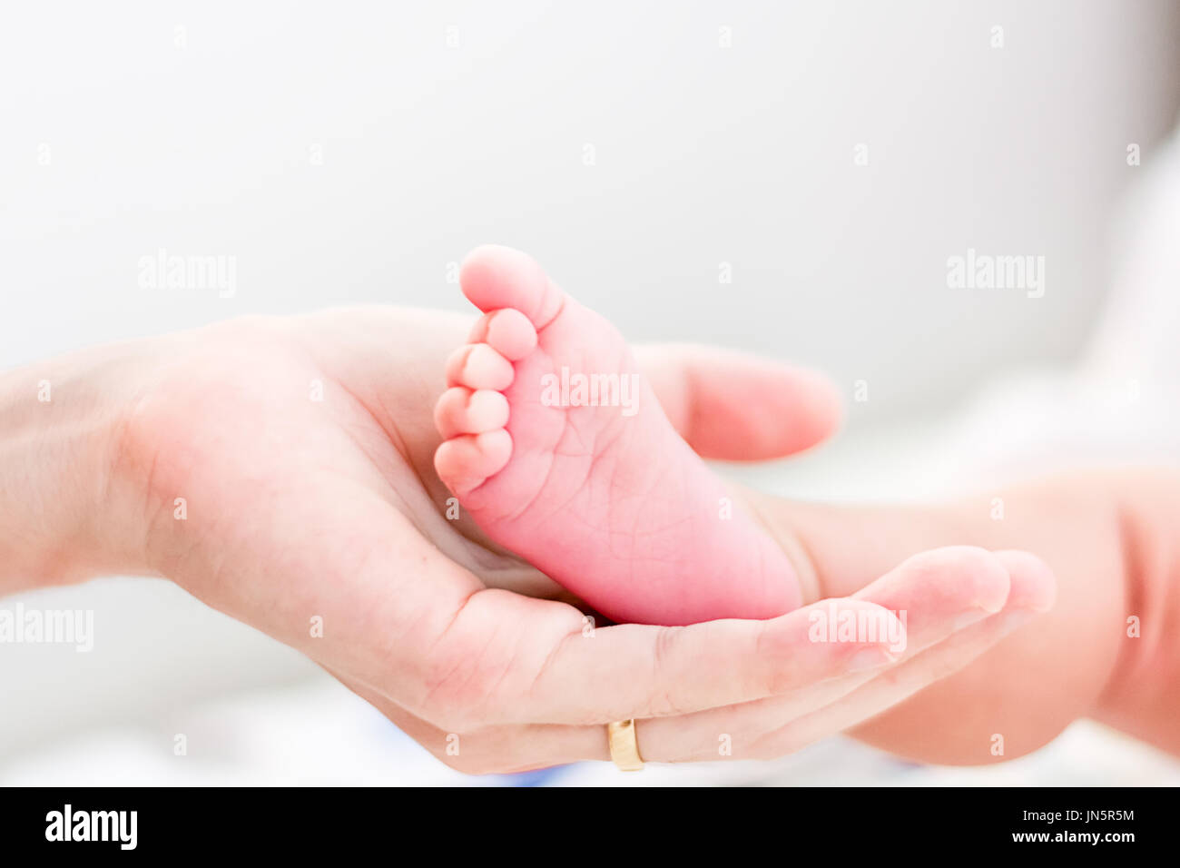 Baby feet in mother hands againt blurred background Stock Photo