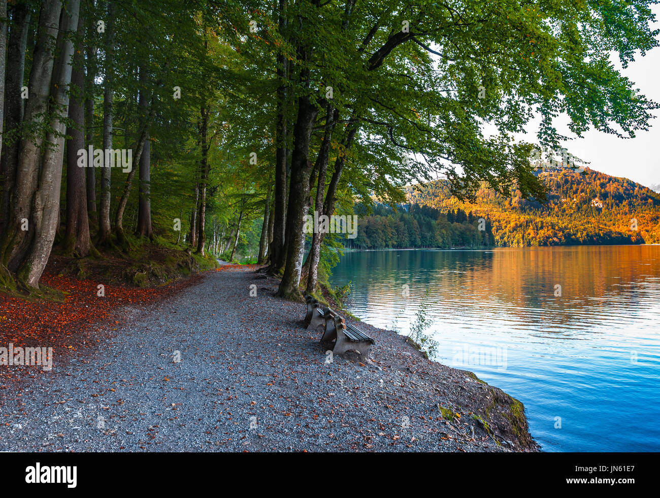 Golden bavaria hi-res stock photography and images - Alamy