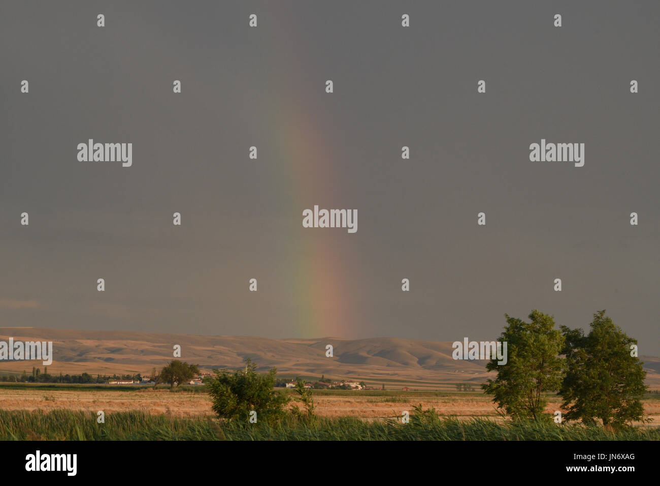 Rainbow and storm clouds over grain fields Stock Photo