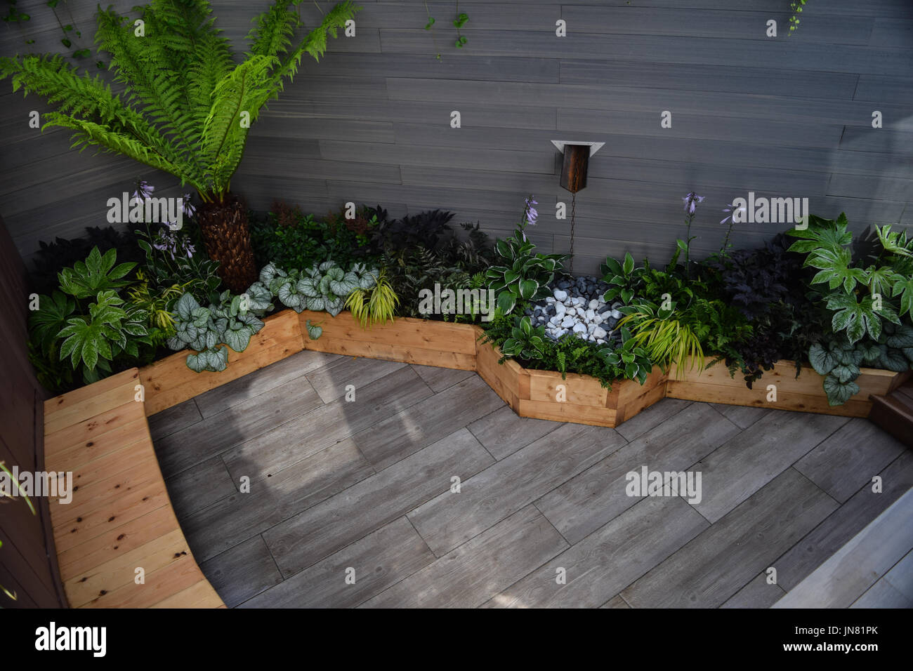 Basement planting hires stock photography and images Alamy