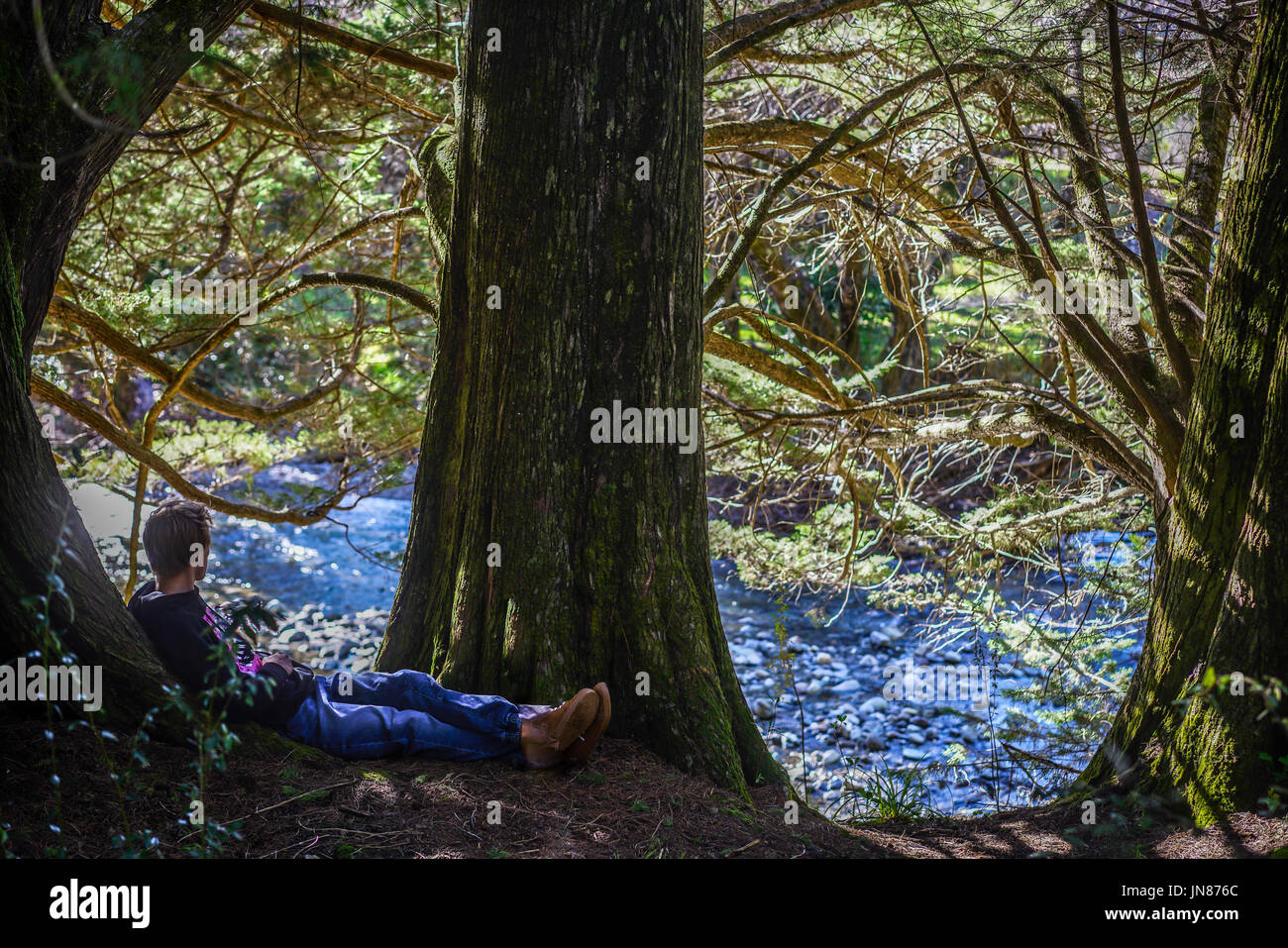 NELSON, NEW ZEALAND - Taking a break to absorb the spectacular surroundings of nature during a hike at the Aniseed Valley Stock Photo
