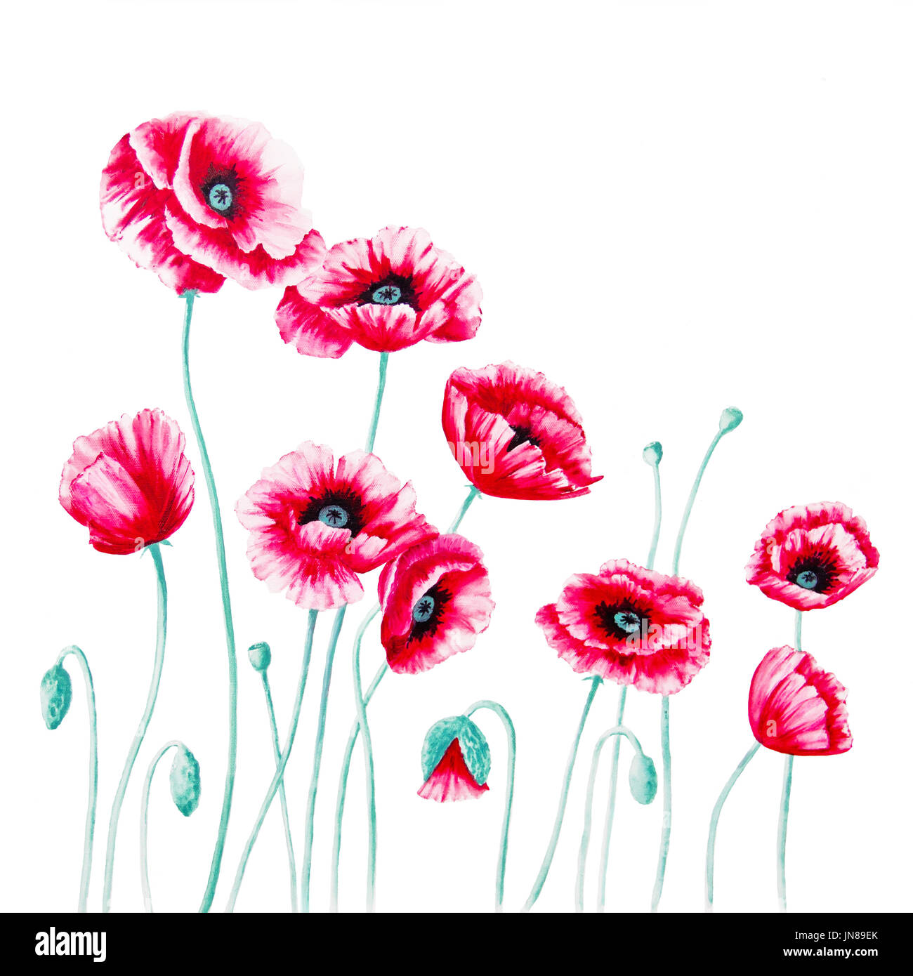 Red Poppies Are Against A White Background In An Acrylic Painting On Canvas As The Left Panel Of A Diptych Stock Photo Alamy Red Poppies Are Against A White Background In An Acrylic Painting On Canvas As The Left Panel Of A Diptych Stock Photo Alamy
