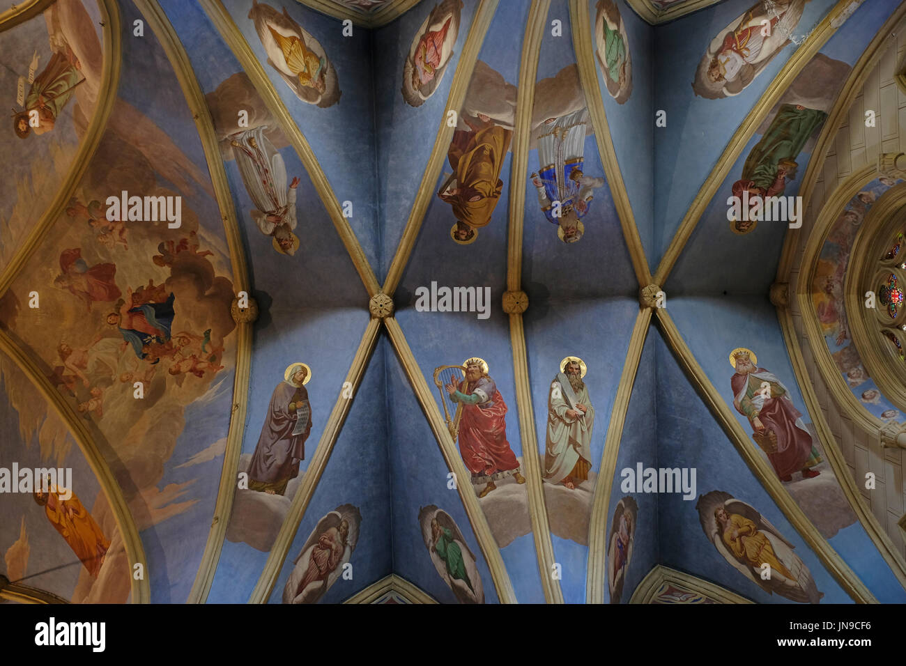 Decorated ceiling inside the Co-Cathedral of the Most Holy Name of ...