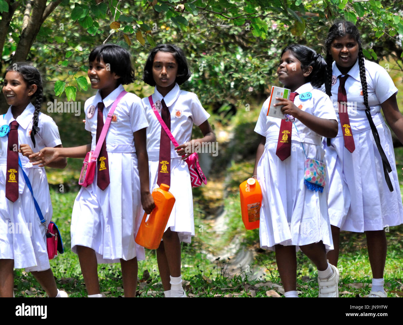 Schoolgirls Sri Lanka High Resolution Stock Photography And Images Alamy