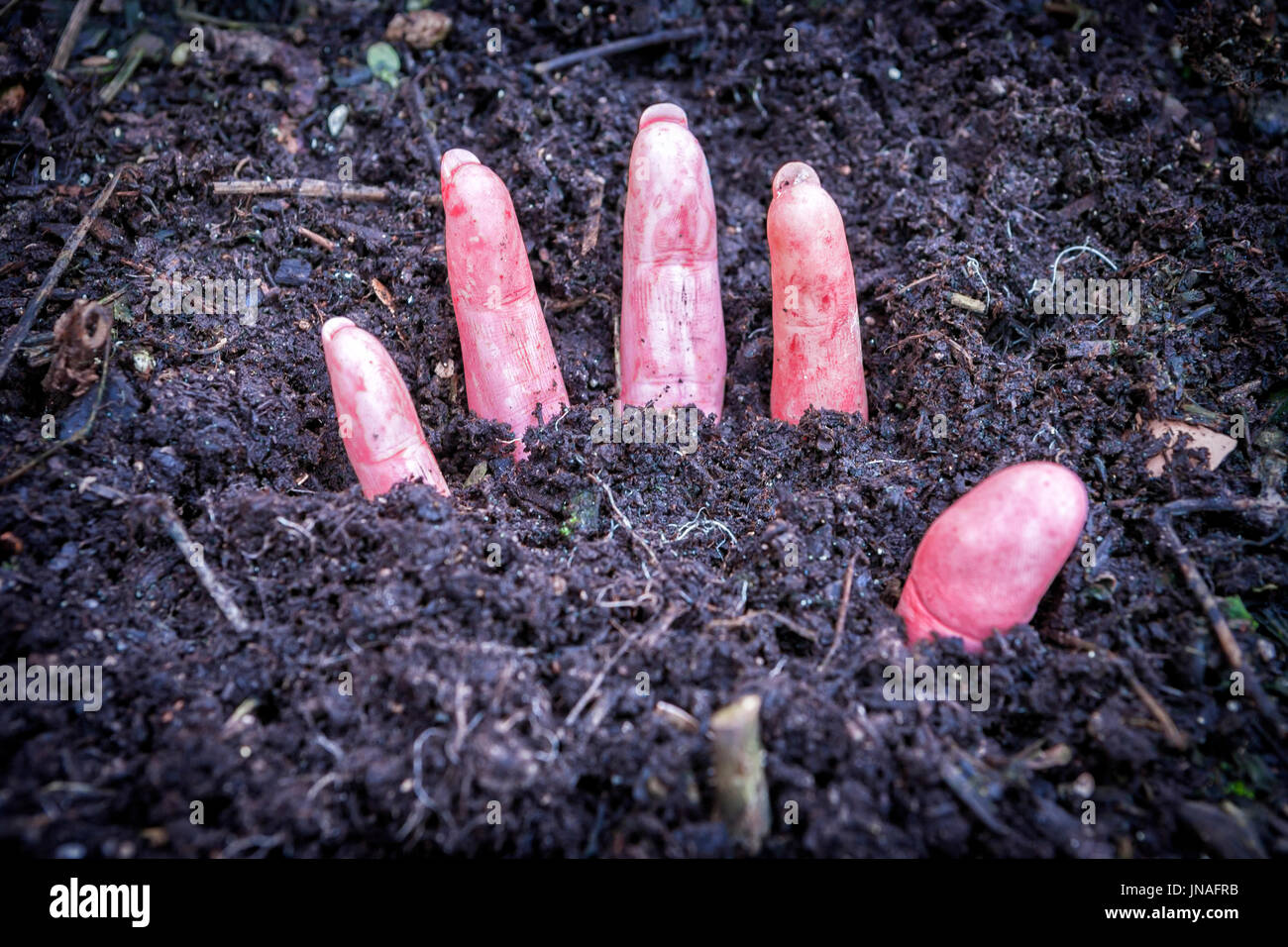 Hand Of Murdered Woman Buried Under The Ground Stock Photo Alamy Hand Of Murdered Woman Buried Under The Ground Stock Photo Alamy