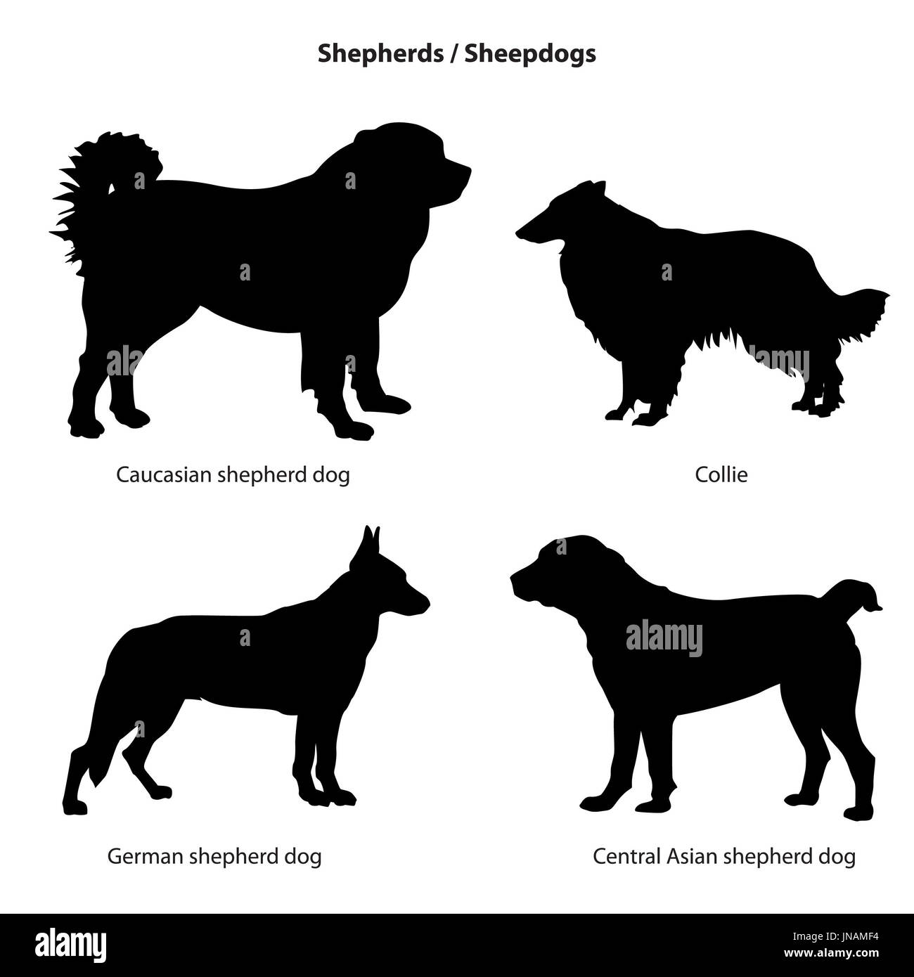 Dog breed silhouette. Pet icon set Sheped dog collection. Sheedogs Stock Photo