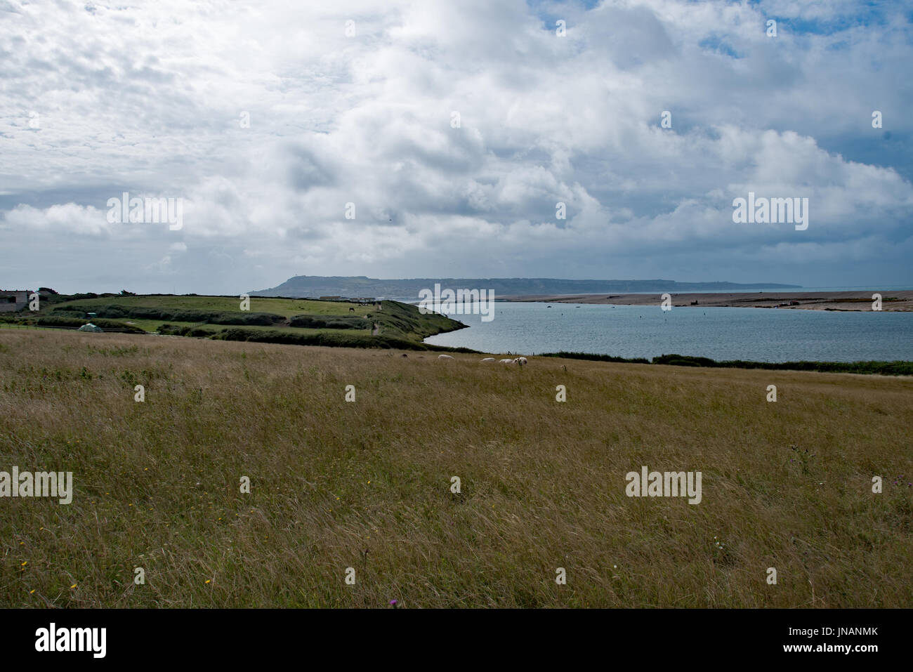 Fleet Lagoon, Chesil Beach, Weymouth, Dorset Stock Photo Alamy