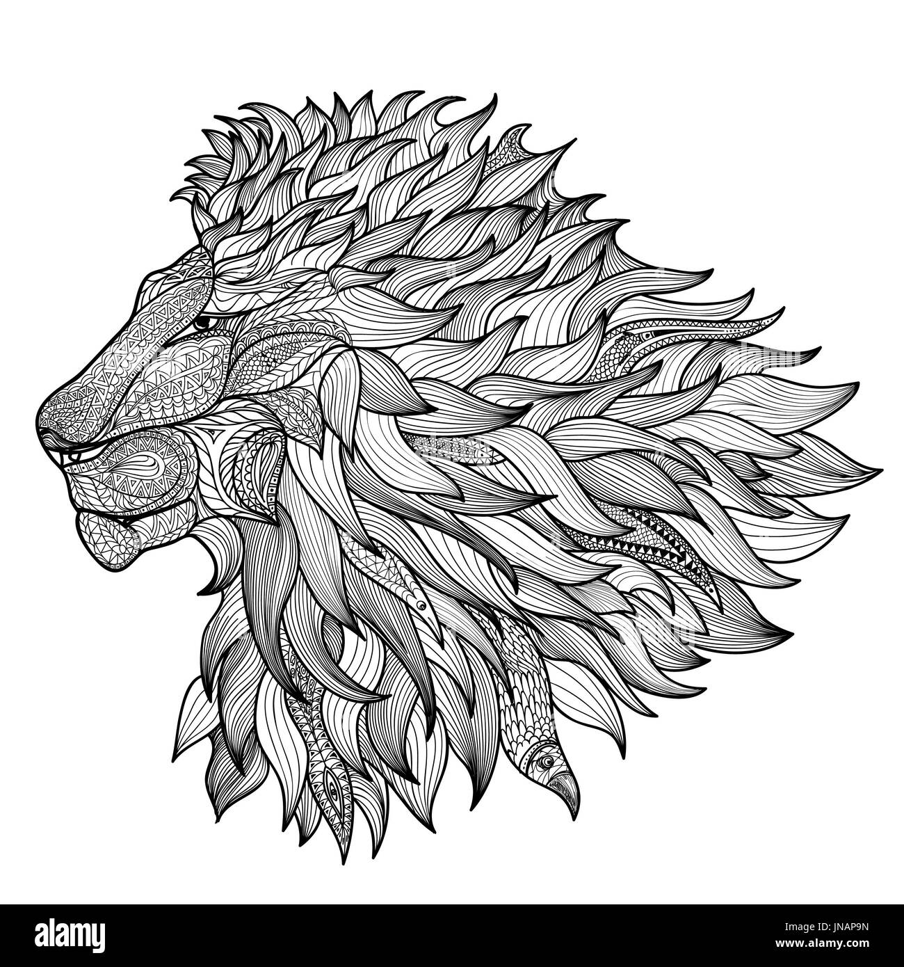 Lion isolated. Animal zentangle hand drawn illustration Stock Photo