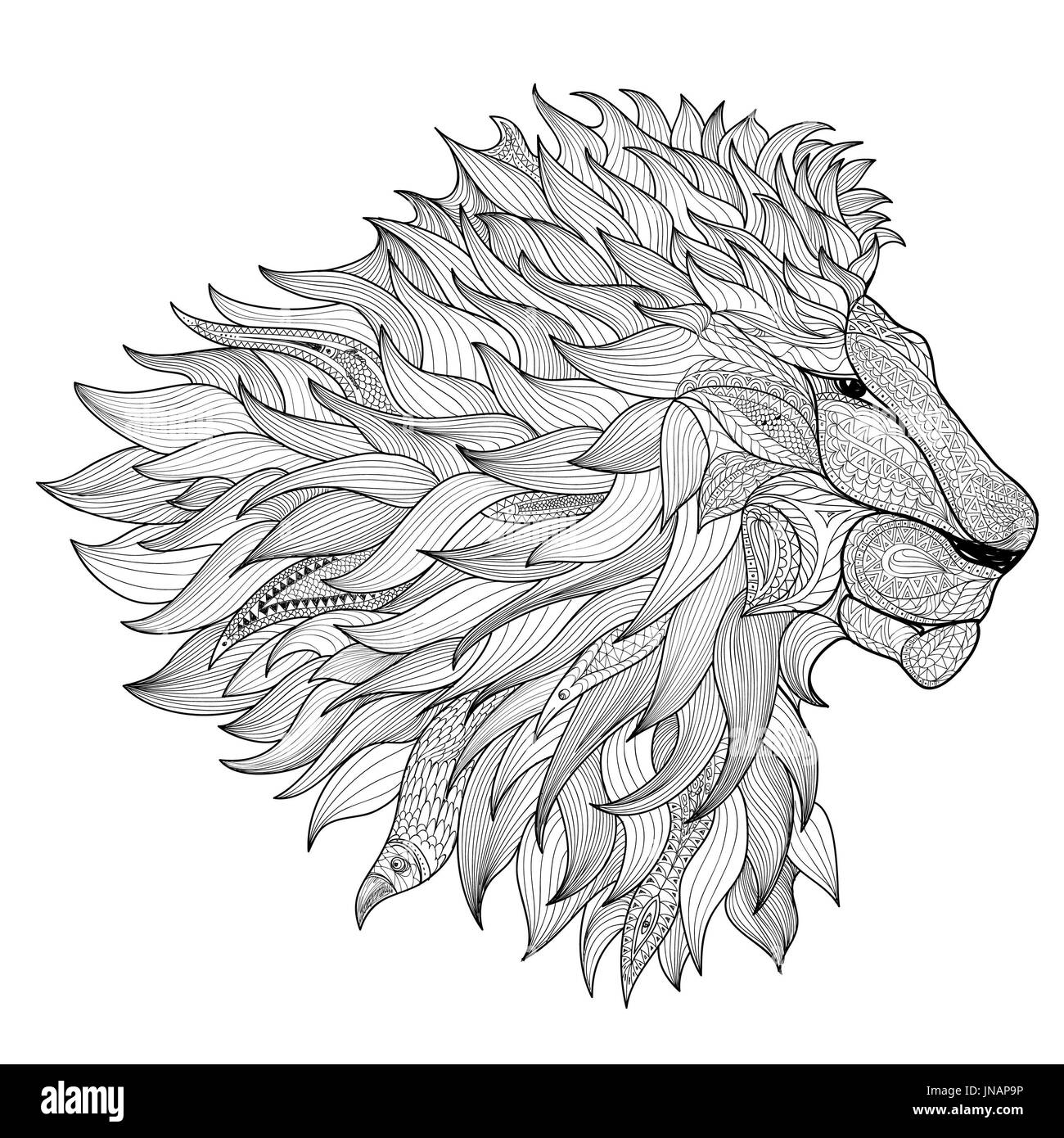 Lion isolated. Animal zentangle hand drawn illustration Stock Photo