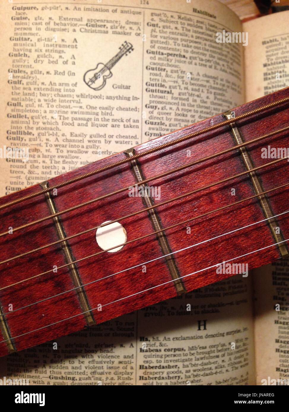 large bowed string instrument large bowed string instrument