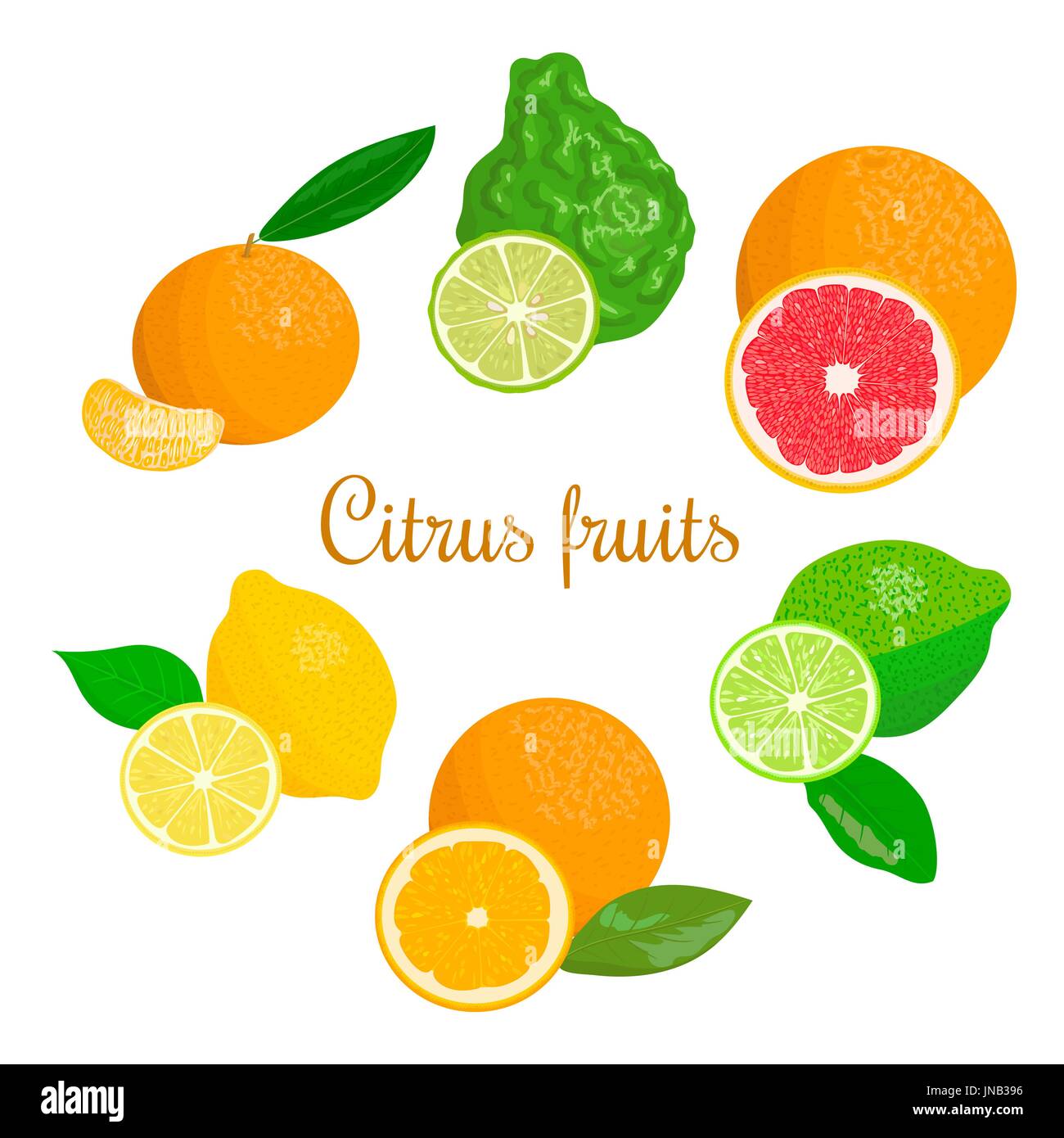 Collection of citrus products - orange, lemon, lime, bergamot, tangerine, grapefruit with leaves. Vector set of whole fruits and slices. for design, p Stock Vector