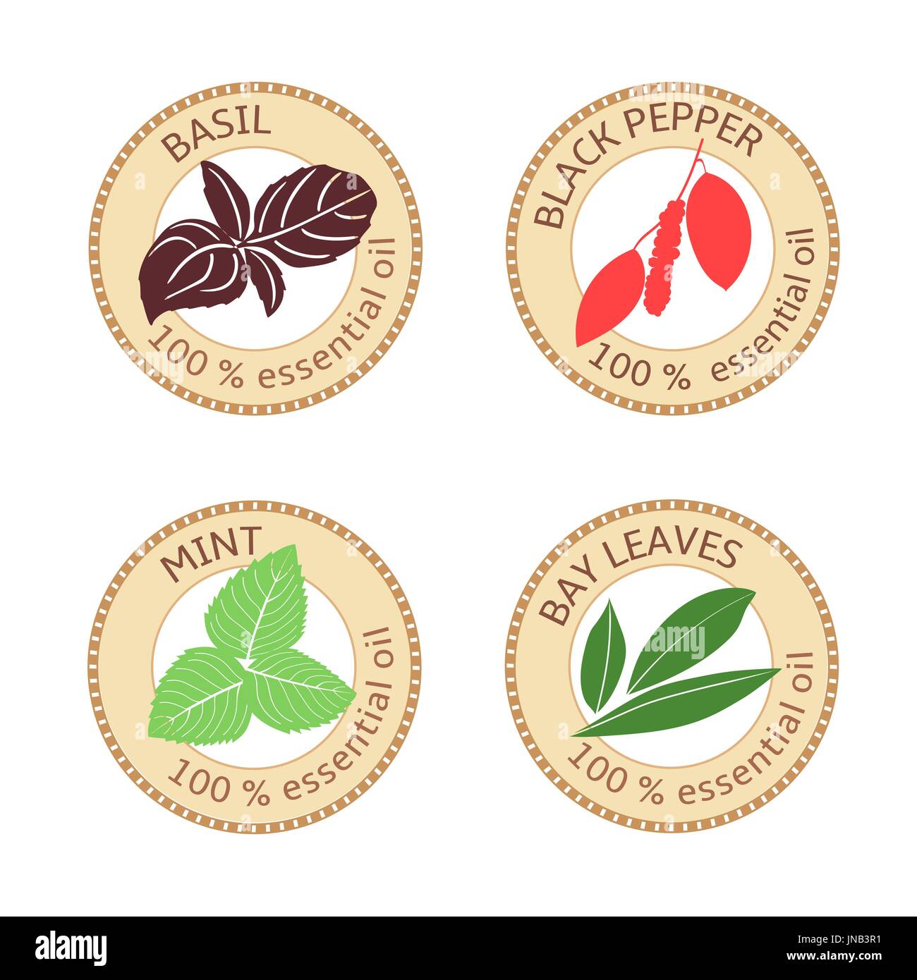 Set of flat essential oil labels. 100 percent. Bay leaves, basil, black pepper, mint Stock Vector