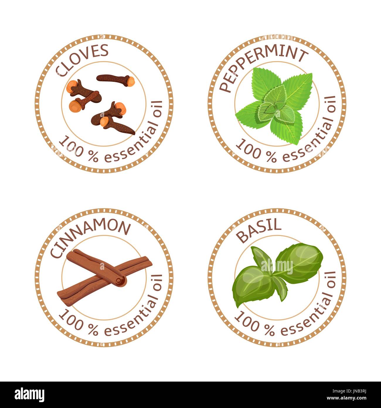 Set of essential oils labels. Cloves, peppermint, cinnamon, basil Stock Vector