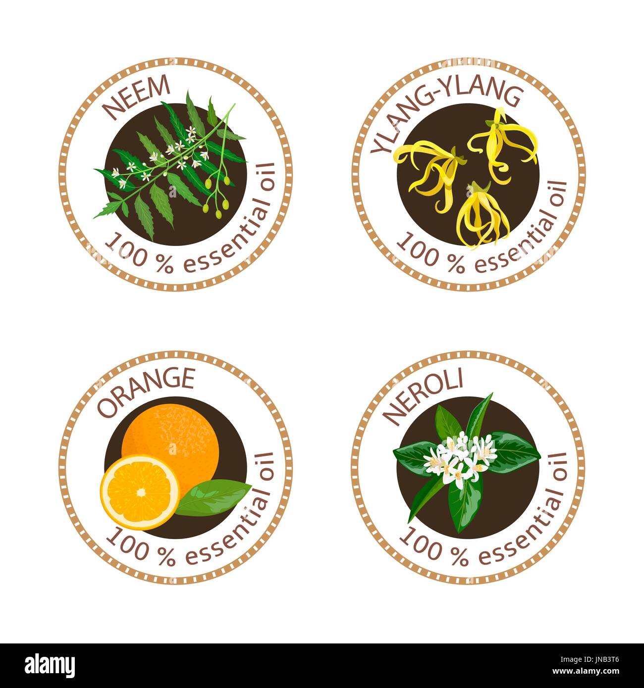 Set of essential oils labels. Ylang-ylang, neem, neroli, orange Stock Vector