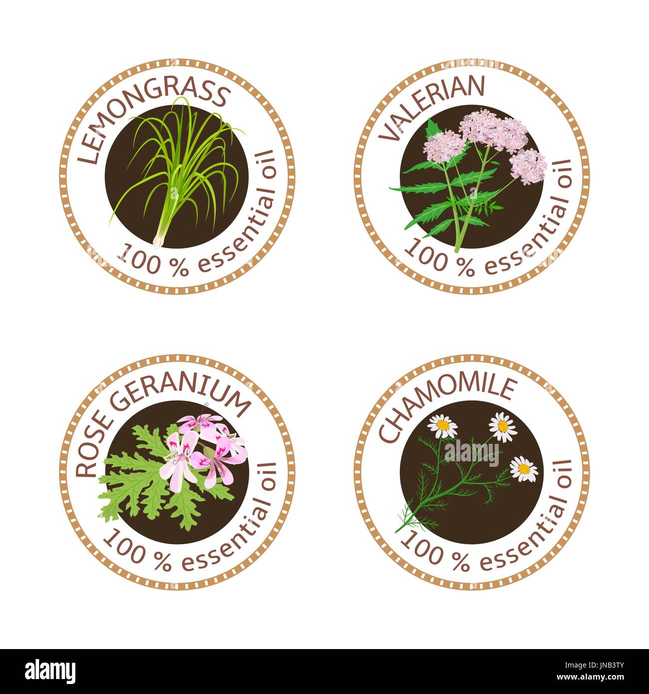 Set of essential oils labels. Rose Geranium, lemongrass, Chamomile, Valerian herb Stock Vector