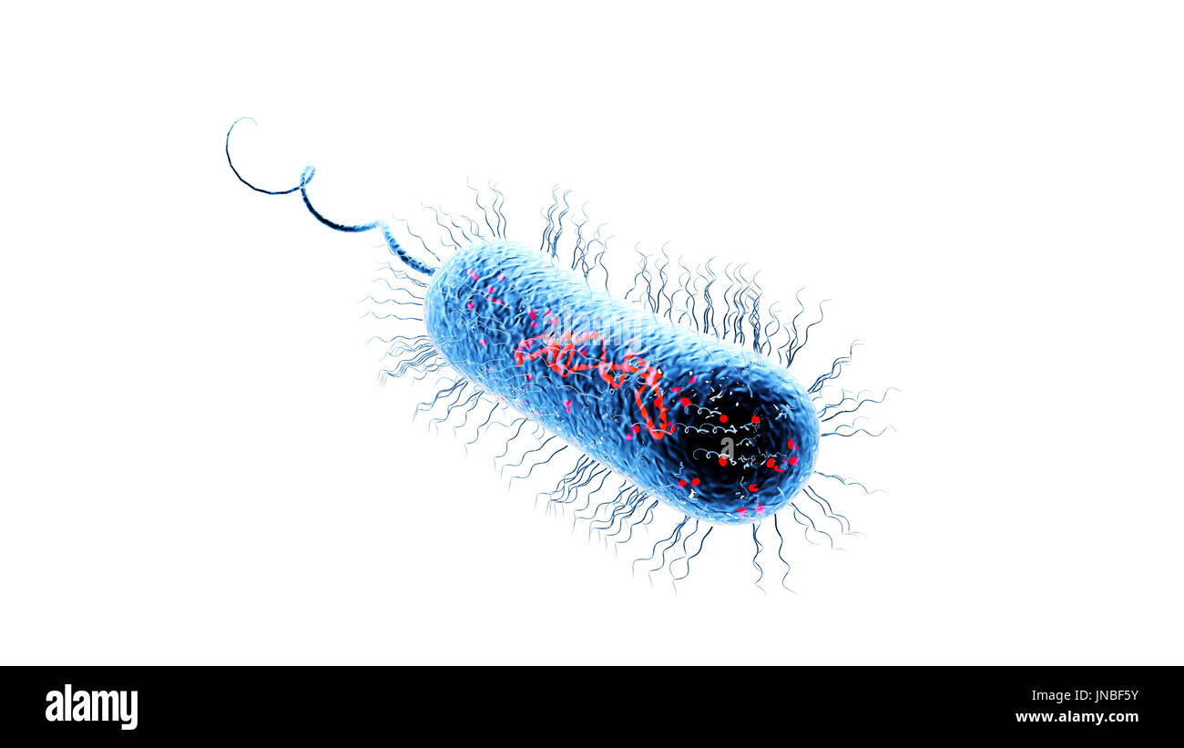 Bacteria virus cell macro. 3D render background Stock Photo - Alamy