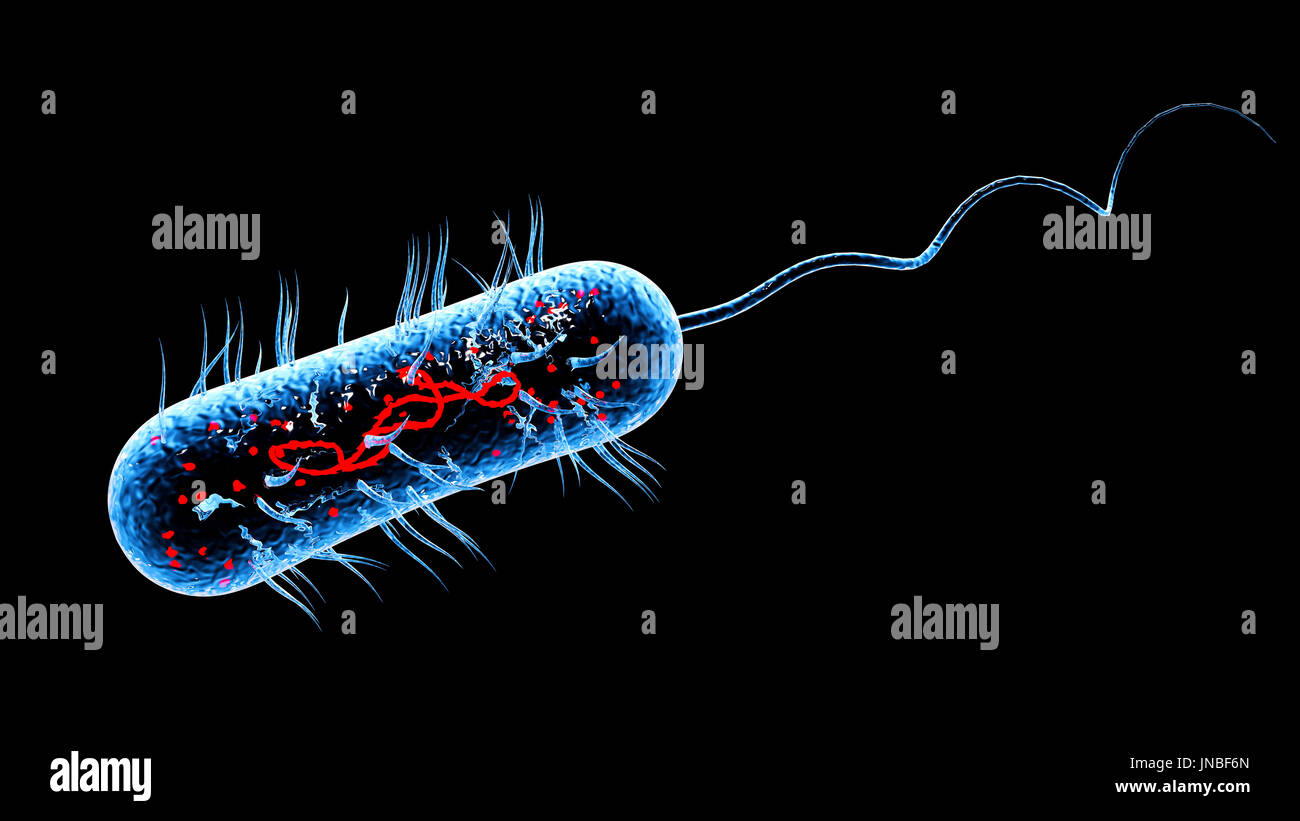 Bacteria virus cell macro. 3D render background Stock Photo - Alamy