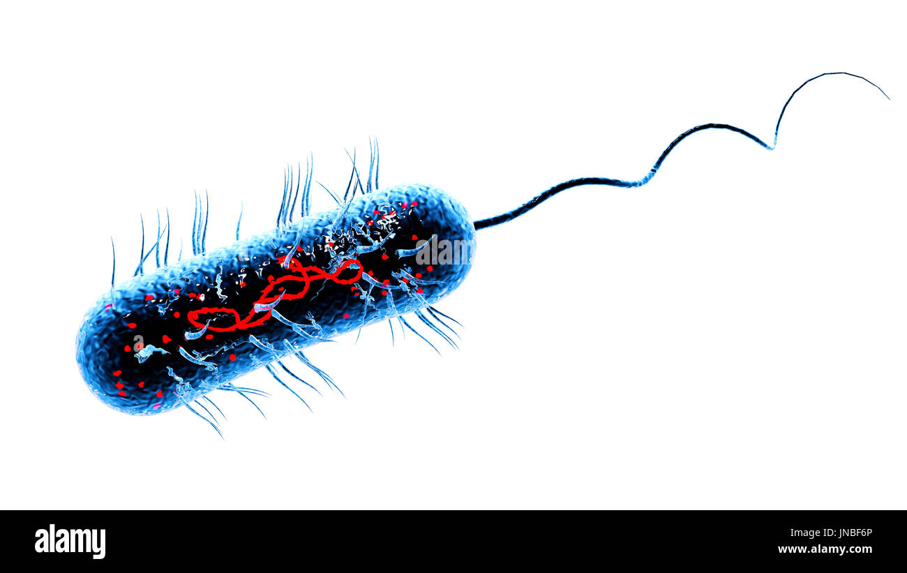 Bacteria virus cell macro. 3D render background Stock Photo - Alamy