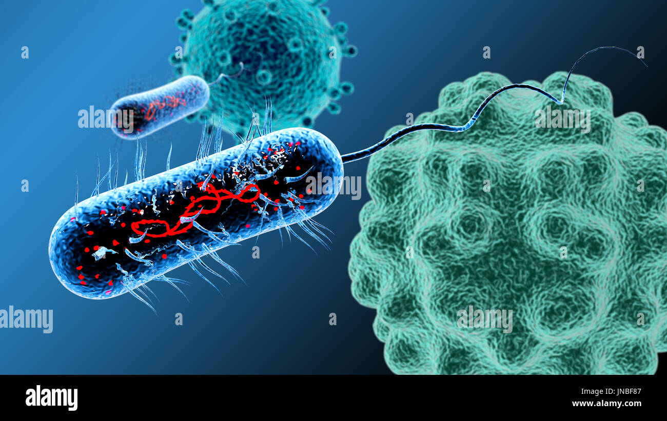 Bacteria virus cell macro. 3D render background Stock Photo - Alamy
