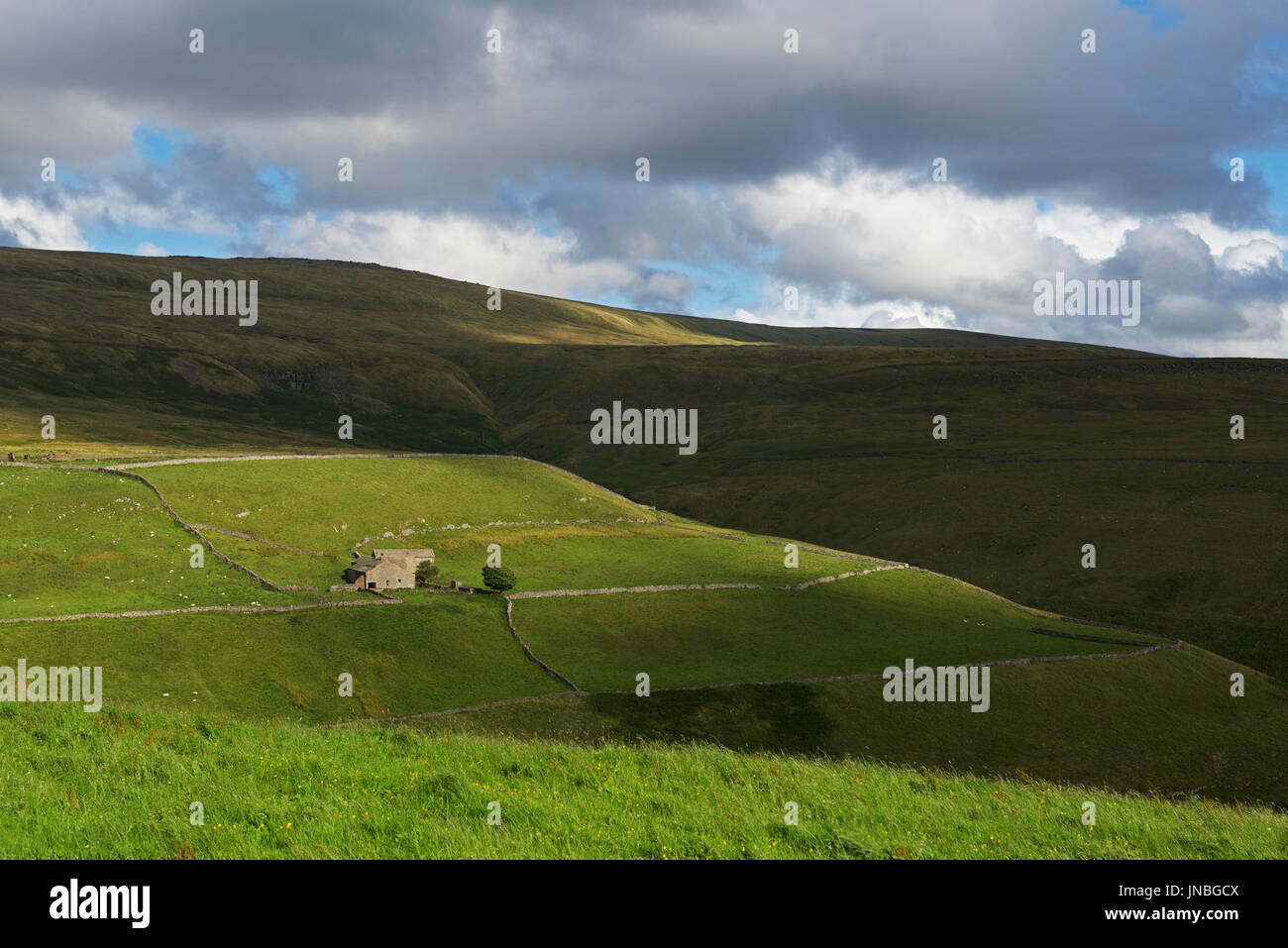 Farmhouse in Coverdale, Yorkshire Dales National Park, North Yorkshire, England UK Stock Photo