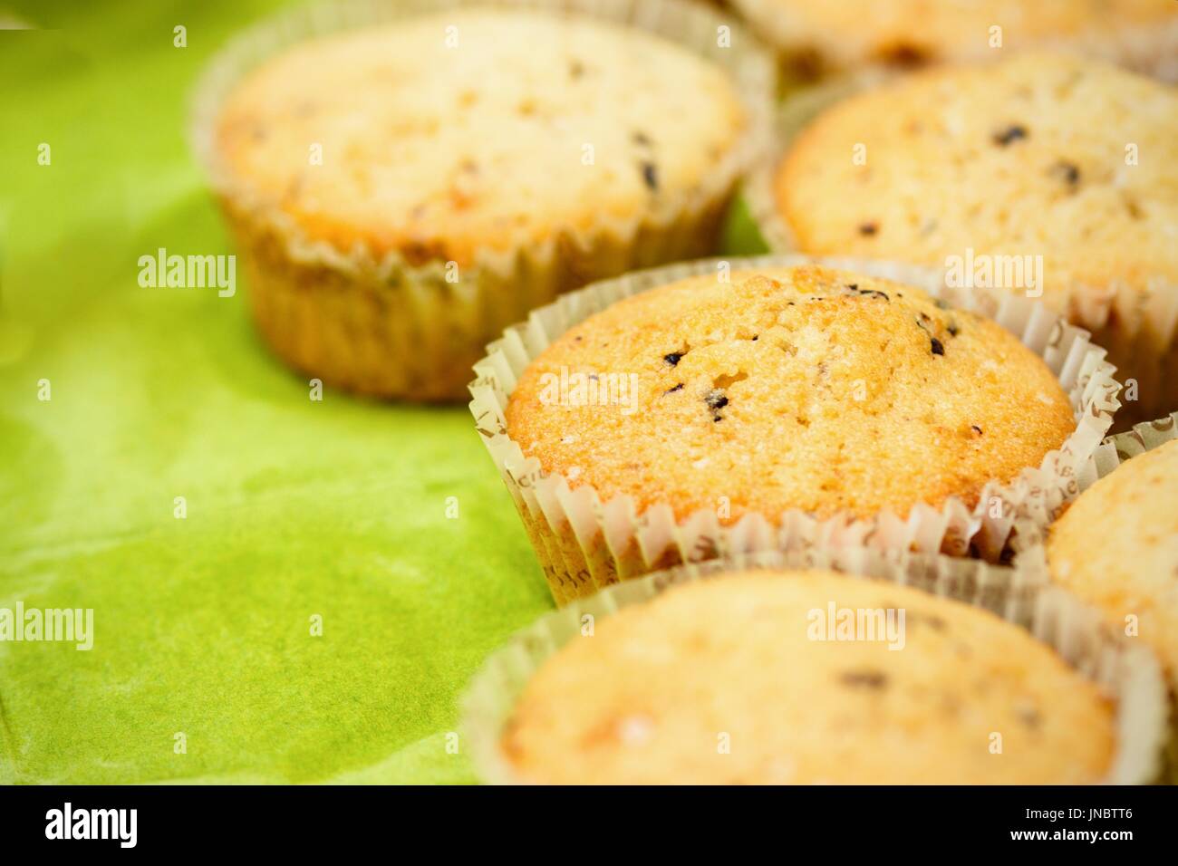Homemade vanilla chocolate chips muffins Stock Photo Alamy