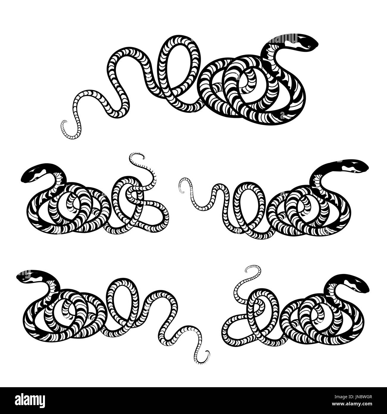 Snake set. Engraved wildlife reptile silhouette. Patterned animal tail Stock Photo