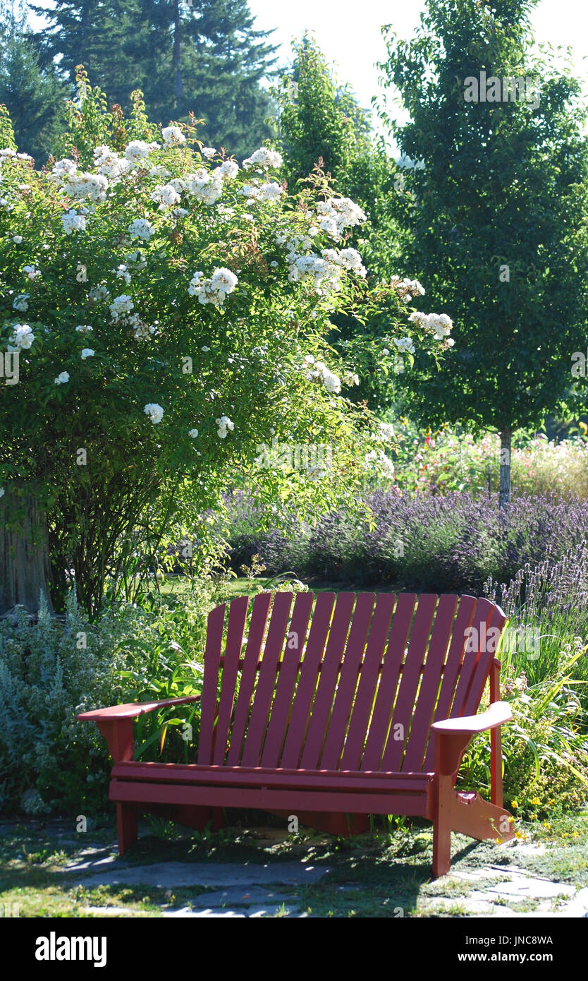 garden seating red garden bench with a climbing rose Stock Photo