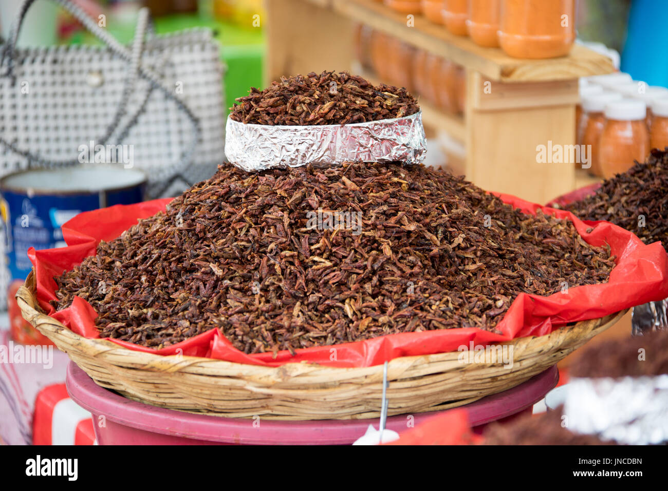 Fried insects vendor in Oaxaca, Mexico Stock Photo