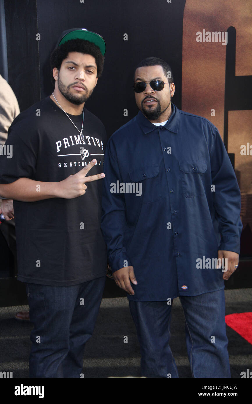 Ice Cube 05/08/2014 Los Angeles premiere of 