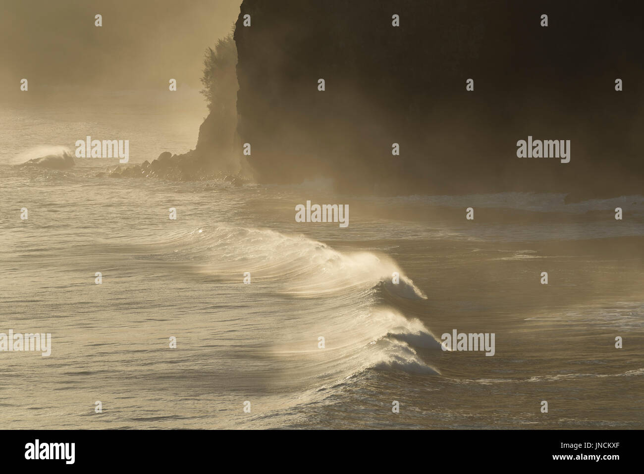 Wave breaking on the coast at Pololu Valley, North Kohala, Big Island of Hawaii. Stock Photo