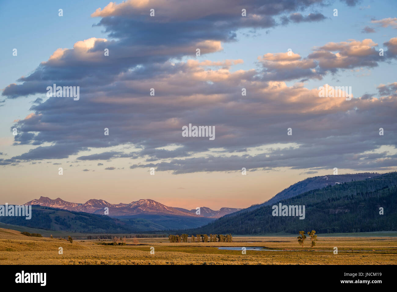 Lamar Valley and the Absaroka Mountains, Yellowstone National Park, Wyoming. Stock Photo