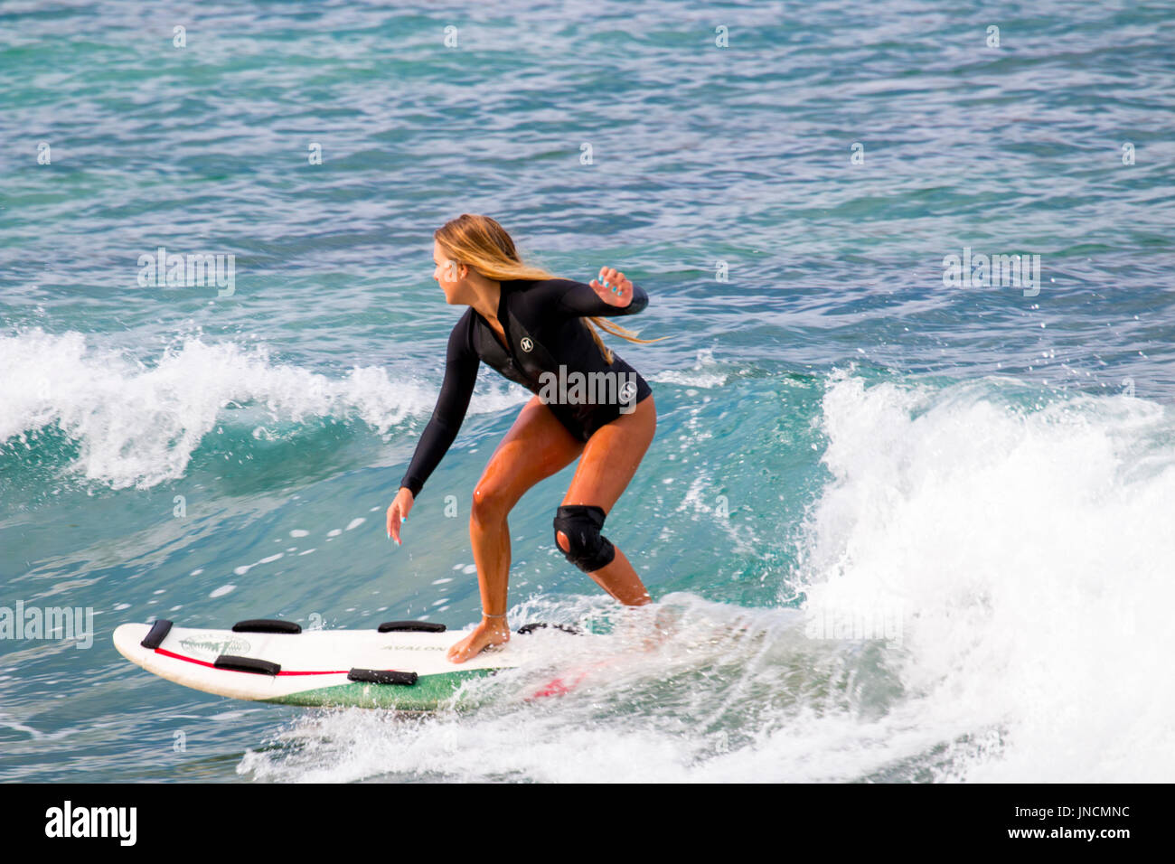 Kaptajn brie Orator fritaget Female Australian Surfer High Resolution Stock Photography and Images -  Alamy
