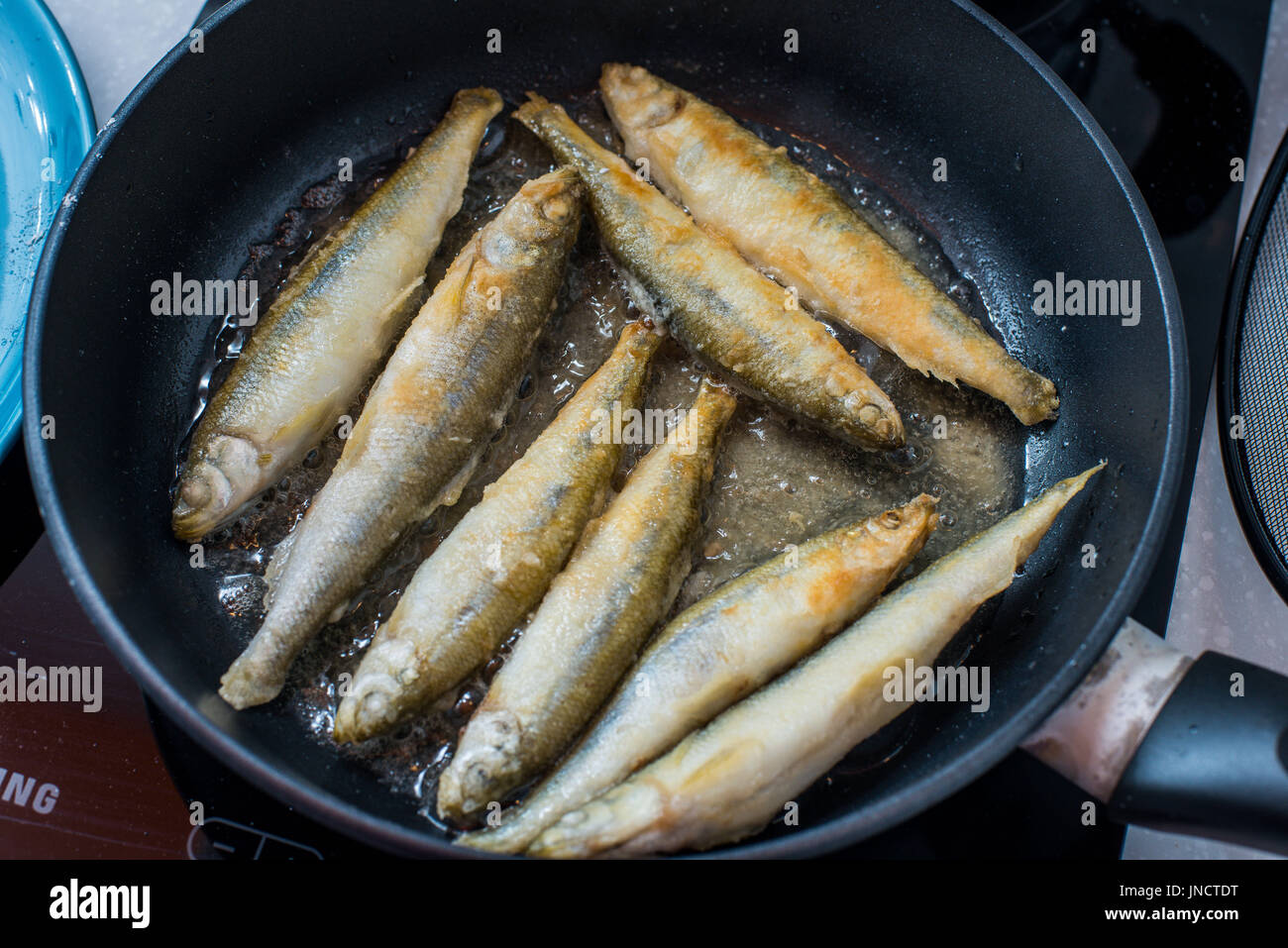 Fried small smelt tasty fish on a barbecue  hotplate Stock Photo
