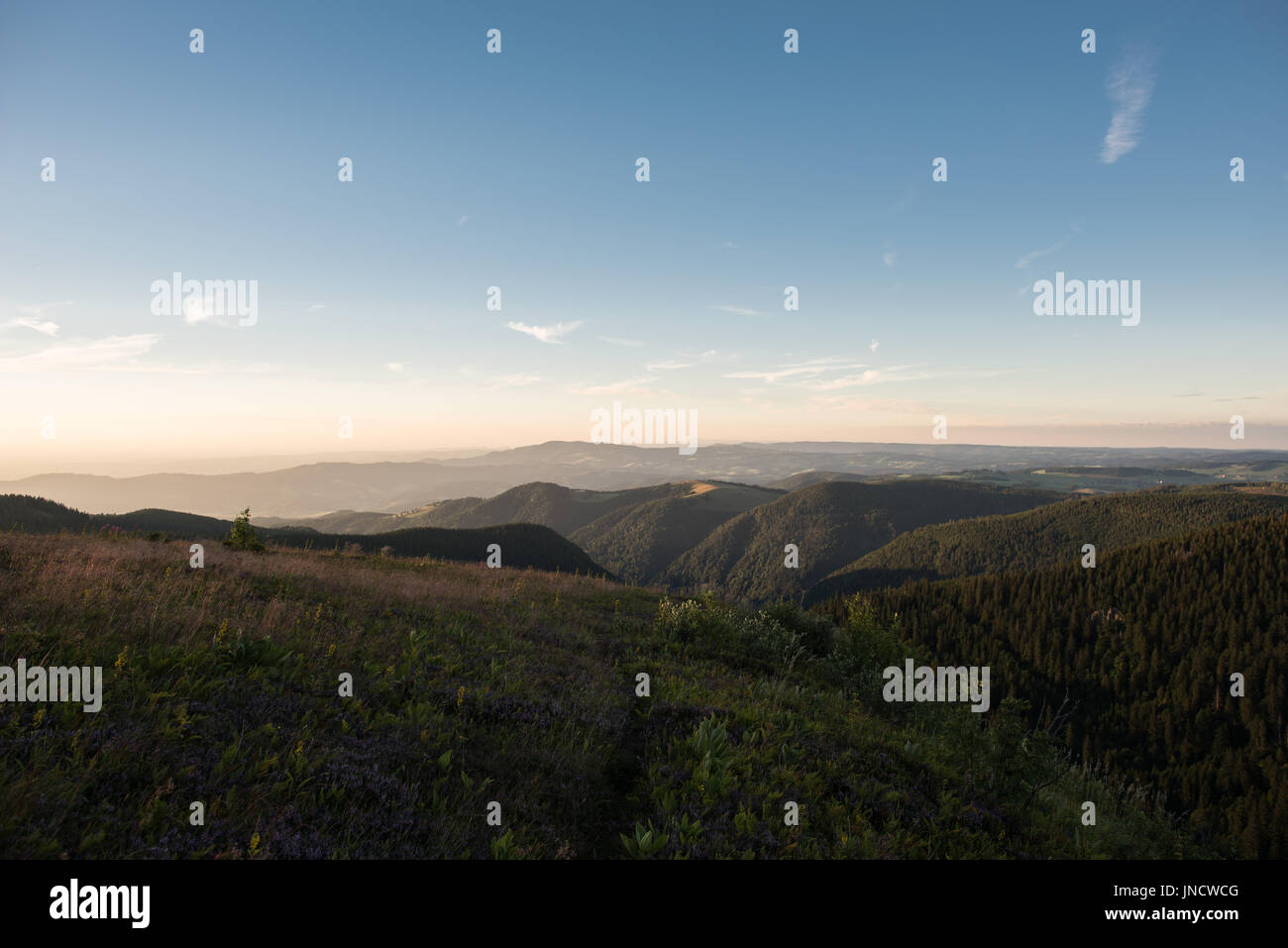 Feldberg black forest germany Stock Photo