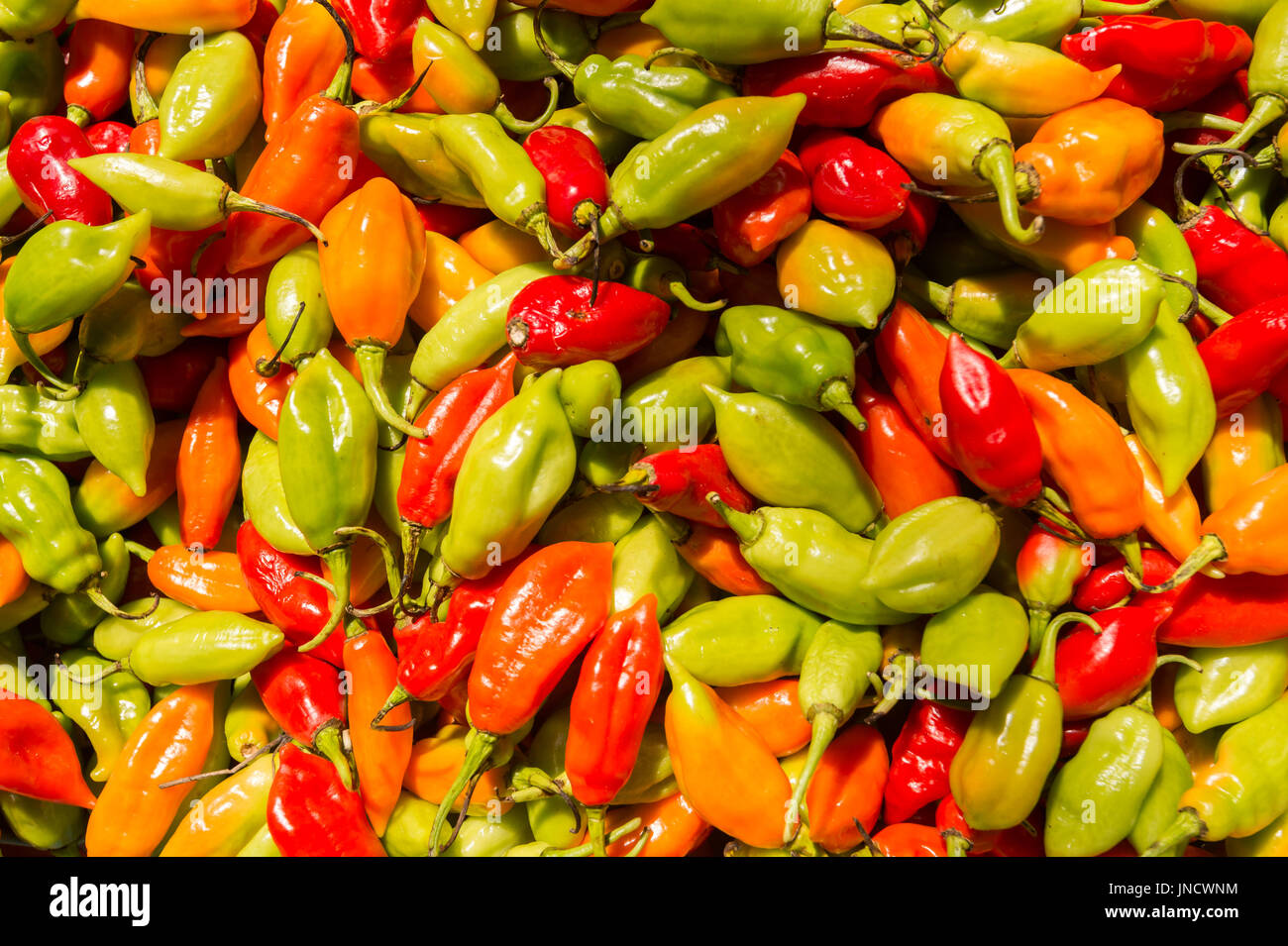Many habanero chili peppers at the market in Martinique Stock Photo