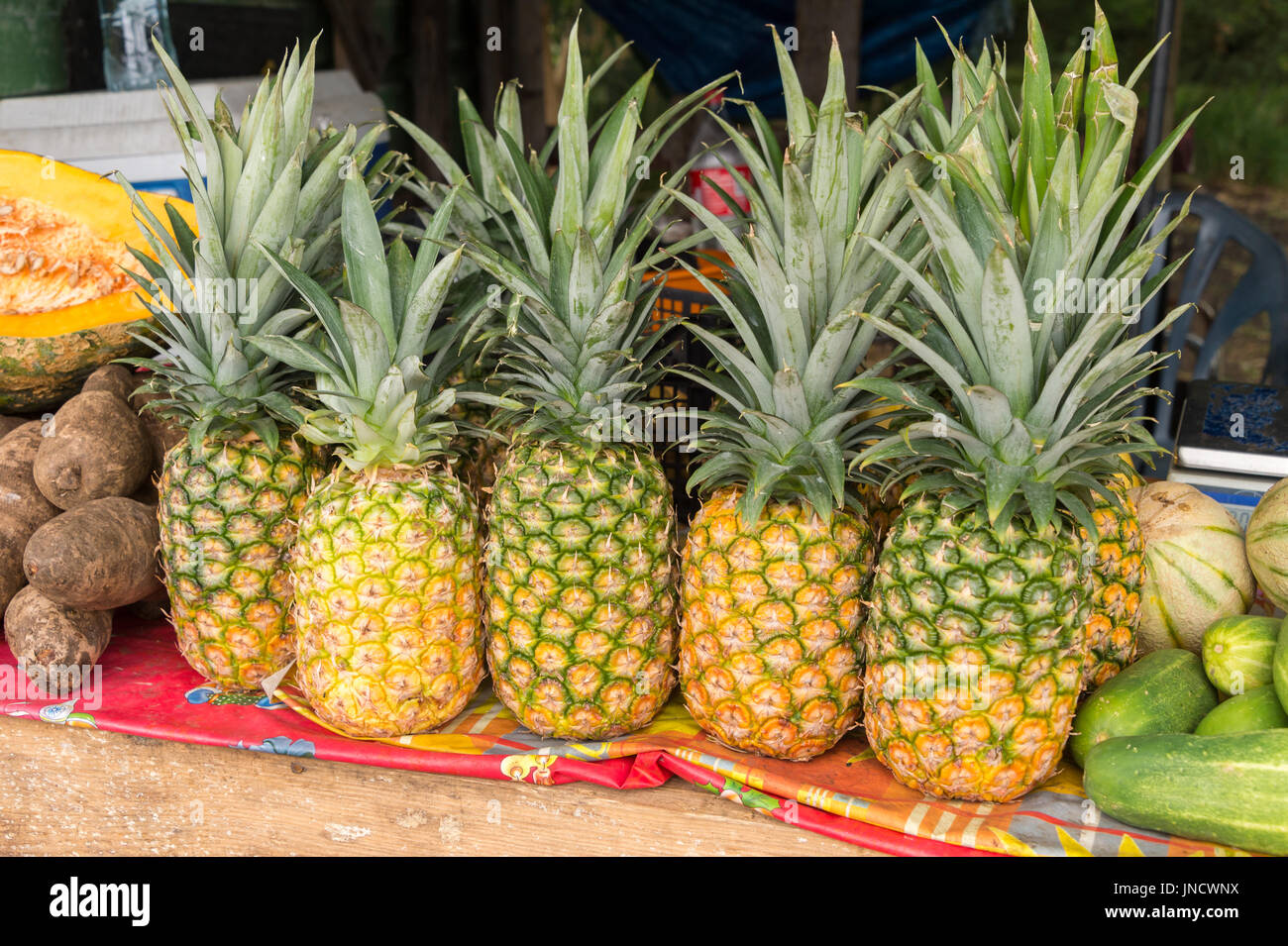 Many pineapples for sale at the local market in Martinique Stock Photo