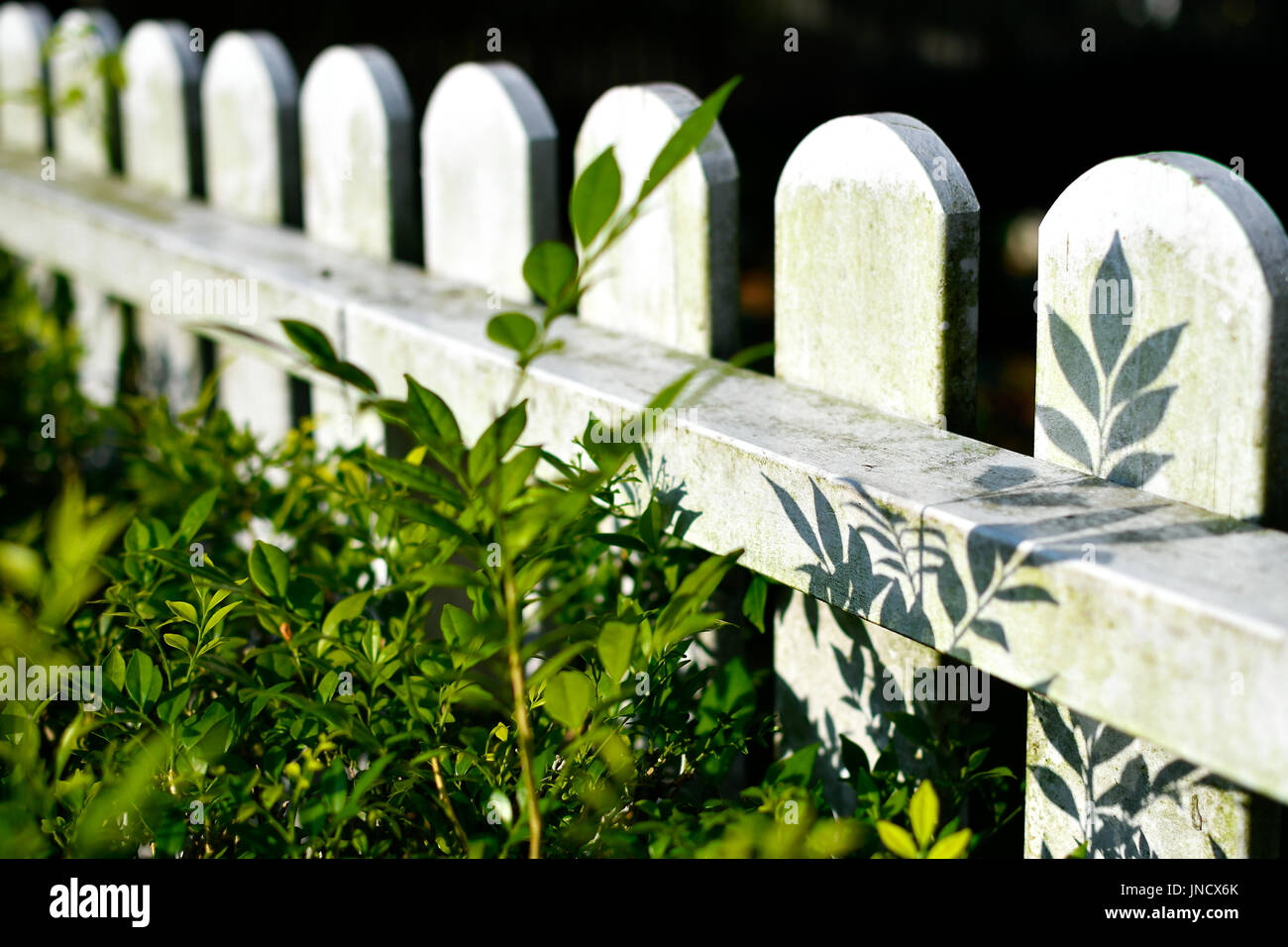 White Wooden Fence Stock Photo