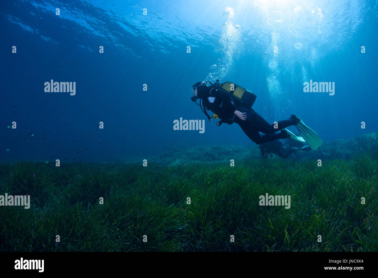Scuba divers over Neptune seagrass (Posidonia oceanica) meadow in Ses Salines Natural Park (Formentera, Mediterranean sea, Balearic Islands, Spain) Stock Photo
