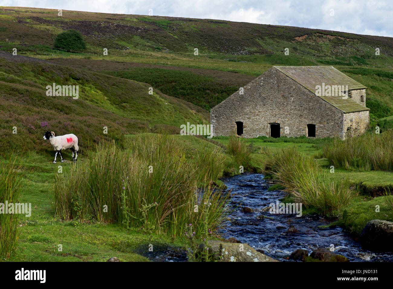 Grinton smelt mill hi-res stock photography and images - Alamy