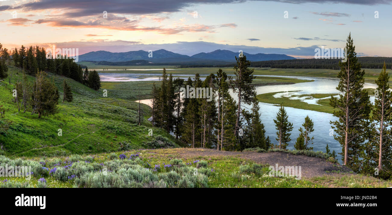 Panoramic image of sunset in the Hayden Valley reflected in the Yellowstone River in Yellowstone National Park, Wyoming. Stock Photo