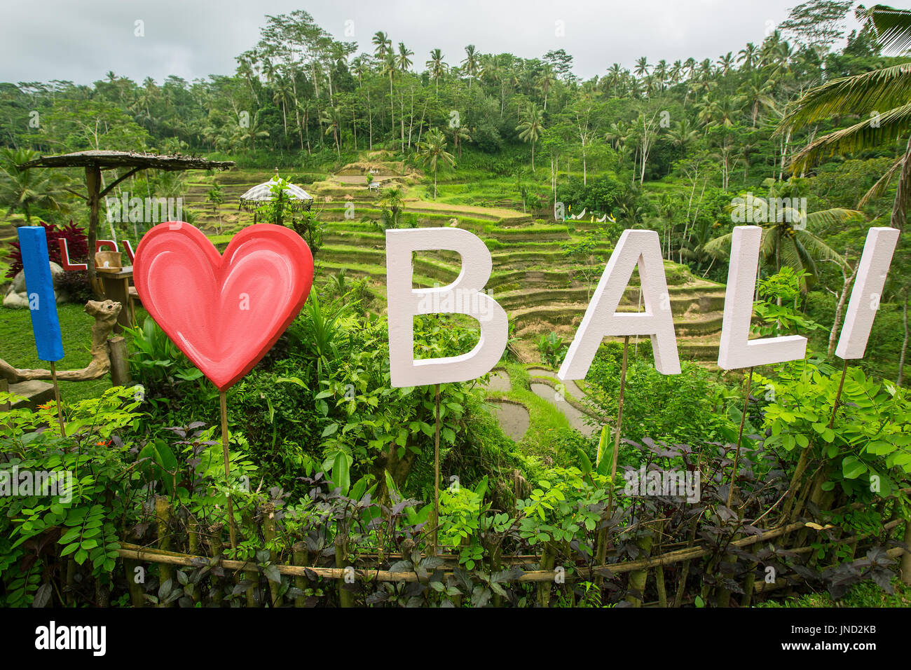 I Love Bali text written on the green rice terraces. Indonesia. Stock Photo