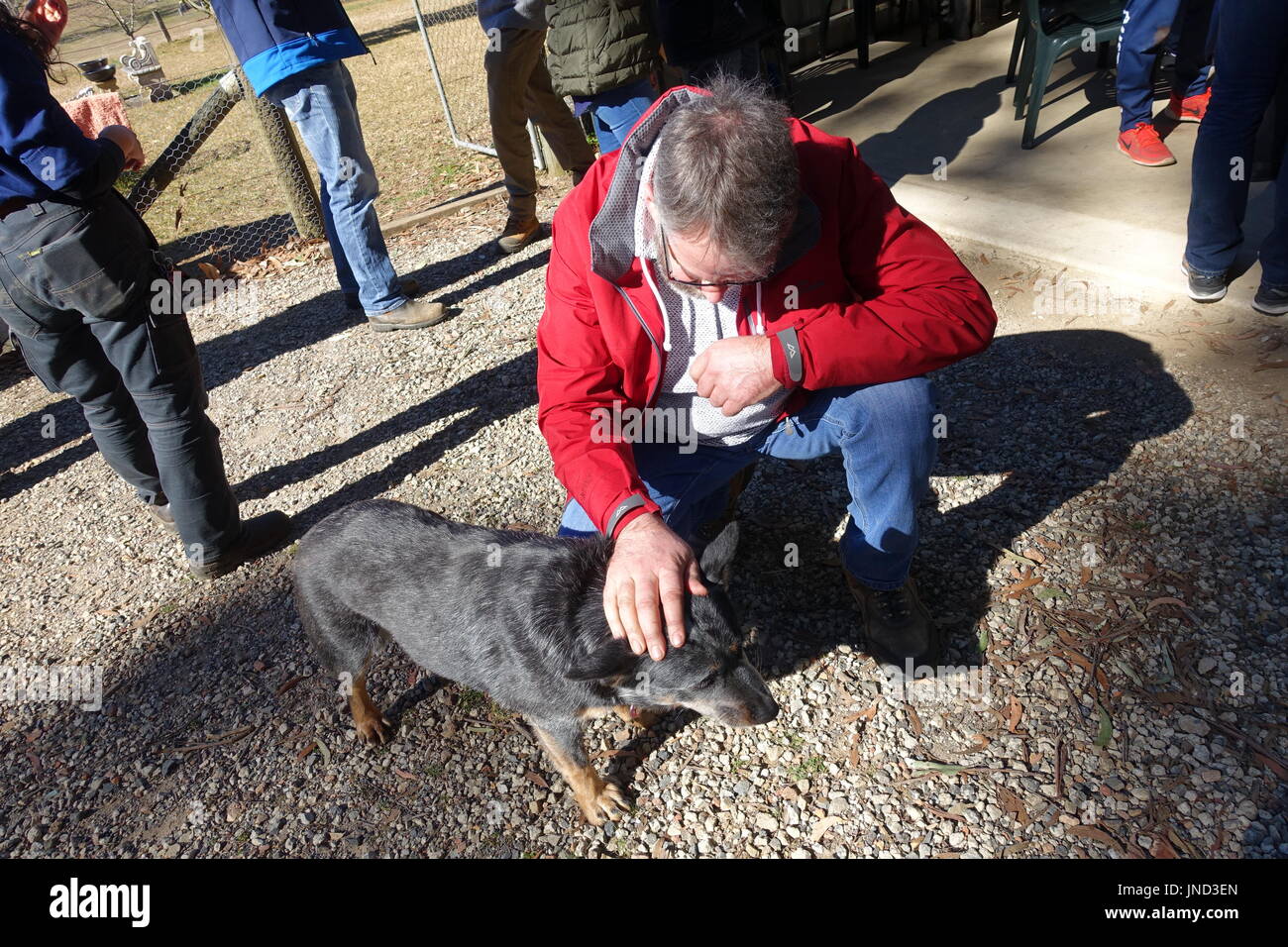 Truffle hunt dog hires stock photography and images Alamy